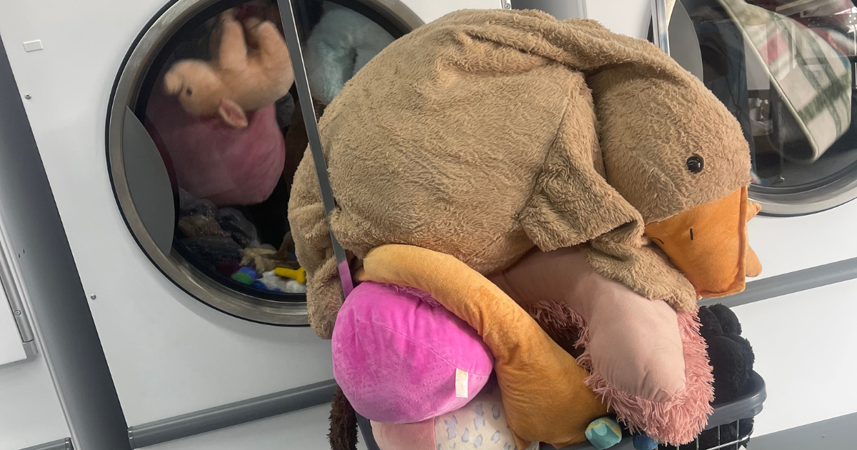 stuffed animal cleaning - The WashRoom Laundry Service Oversized stuffed animals loaded into commercial machines, showing how to wash plush toys in facility-sized batches
