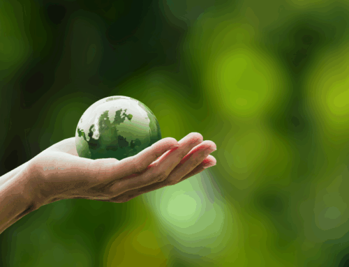 How Our Eco-Friendly Laundry Practices Benefit Your Business & The Planet