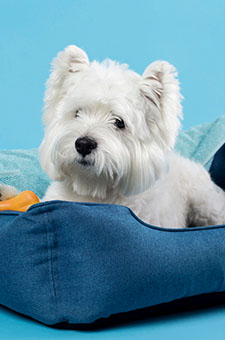 Laundry Service in Charlotte NC - The WashRoom Laundry Service