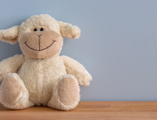 Why Stuffed Animal Cleaning Is So Important for Daycares, Clinics, and Nurseries